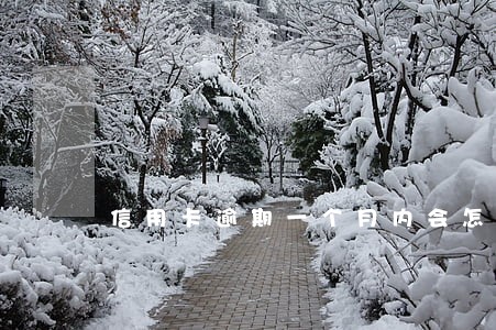 信用卡逾期一个月内会怎么样 信用卡逾期一个月内会怎么样