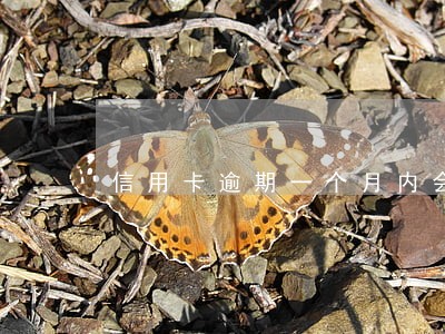 信用卡逾期一个月内会怎样