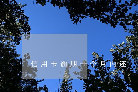 信用卡逾期一个月内还