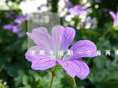信用卡逾期一个月再申请信用卡