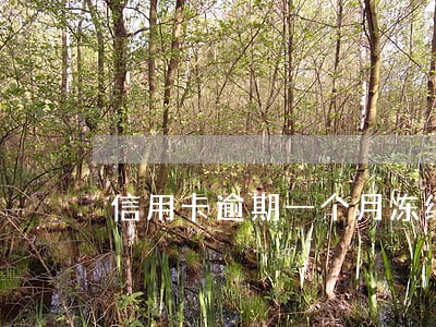 信用卡逾期一个月冻结卡吗 信用卡逾期一个月冻结卡吗