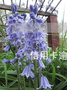 信用卡逾期一个月利息1k多 信用卡逾期一个月利息1k多