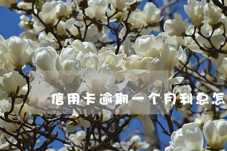 信用卡逾期一个月利息怎么算