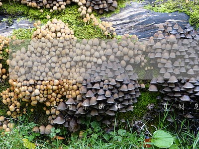 信用卡逾期一个月利息是多少 信用卡逾期一个月利息是多少