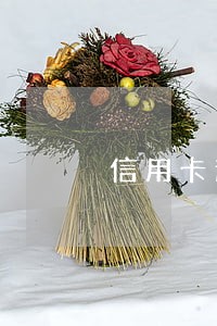 信用卡逾期一个月办车贷 信用卡逾期一个月办车贷