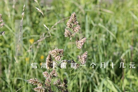 信用卡逾期一个月十几元房贷 信用卡逾期一个月十几元房贷