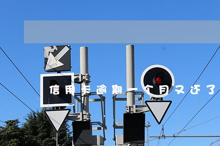 信用卡逾期一个月又还了影响吗