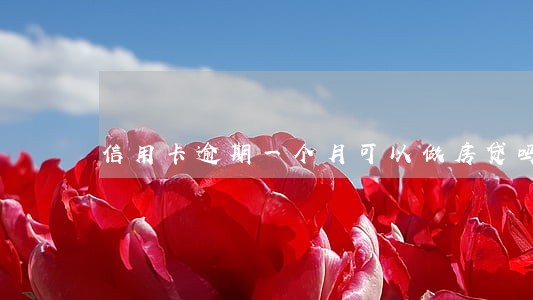 信用卡逾期一个月可以做房贷吗 信用卡逾期一个月可以做房贷吗