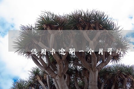 信用卡逾期一个月可以出国吗