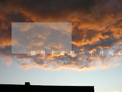 信用卡逾期一个月可以办信用卡吗 信用卡逾期一个月可以办信用卡吗