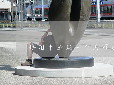 信用卡逾期一个月可以撤销记录吗