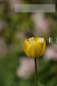 信用卡逾期一个月可以还多少钱 信用卡逾期一个月可以还多少钱