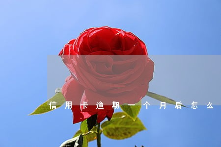 信用卡逾期一个月后怎么协商还款 信用卡逾期一个月后怎么协商还款