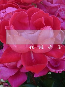 信用卡逾期一个月后果会拘留