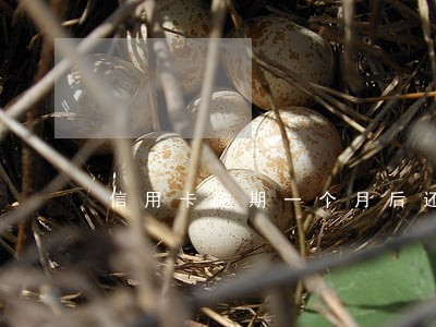 信用卡逾期一个月后还有效吗