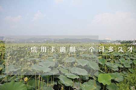 信用卡逾期一个月多久才能恢复 信用卡逾期一个月多久才能恢复