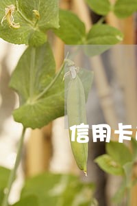 信用卡逾期一个月多久消失