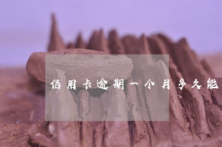 信用卡逾期一个月多久能消除 信用卡逾期一个月多久能消除