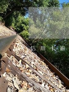 信用卡逾期一个月多少天会上征信 信用卡逾期一个月多少天会上征信