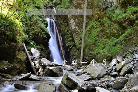 信用卡逾期一个月多月 信用卡逾期一个月多月
