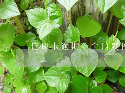 信用卡逾期一个月就催款 信用卡逾期一个月就催款