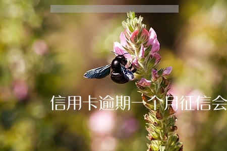 信用卡逾期一个月征信会怎样