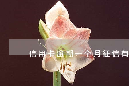 信用卡逾期一个月征信有影响吗 信用卡逾期一个月征信有影响吗