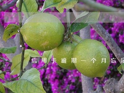 信用卡逾期一个月忘记还 信用卡逾期一个月忘记还