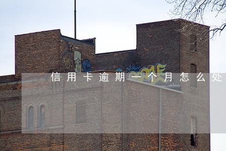 信用卡逾期一个月怎么处罚 信用卡逾期一个月怎么处罚