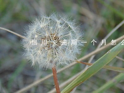 信用卡逾期一个月怎么打电话