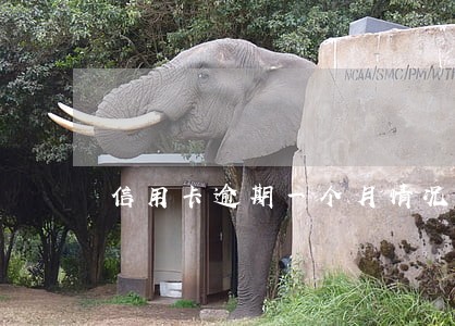 信用卡逾期一个月情况分析报告 信用卡逾期一个月情况分析报告