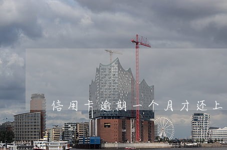 信用卡逾期一个月才还上