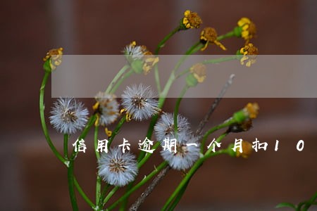 信用卡逾期一个月扣100分 信用卡逾期一个月扣100分