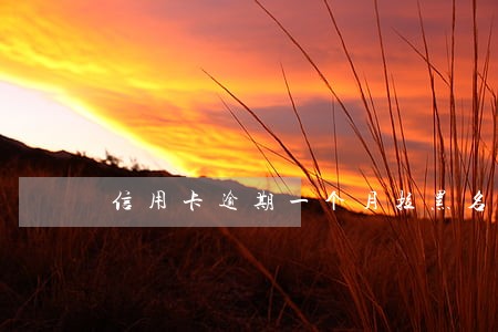 信用卡逾期一个月拉黑名单吗 信用卡逾期一个月拉黑名单吗