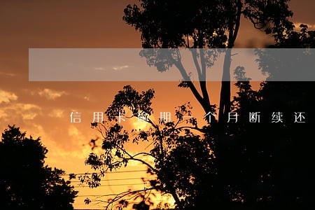 信用卡逾期一个月断续还