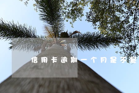 信用卡逾期一个月是不是黑户
