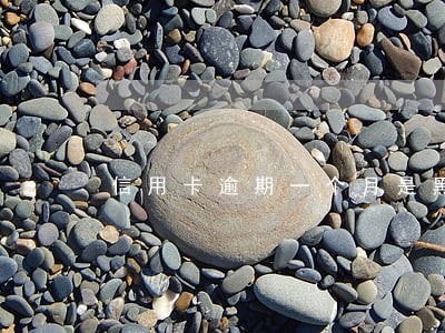 信用卡逾期一个月是黑户吗