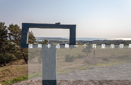 信用卡逾期一个月显示停用信息 信用卡逾期一个月显示停用信息