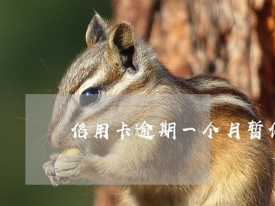 信用卡逾期一个月暂停使用 信用卡逾期一个月暂停使用