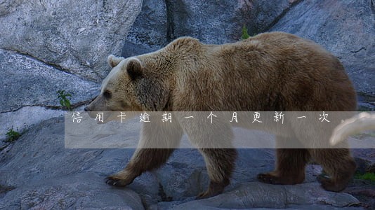 信用卡逾期一个月更新一次 信用卡逾期一个月更新一次