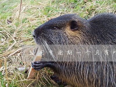 信用卡逾期一个月有啥影响吗 信用卡逾期一个月有啥影响吗