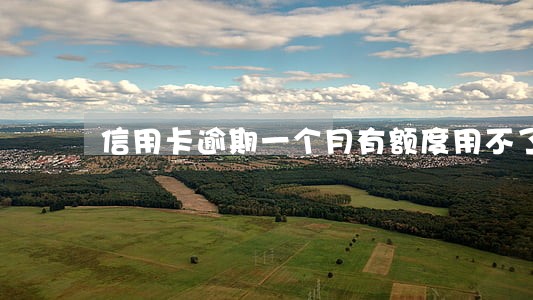 信用卡逾期一个月有额度用不了 信用卡逾期一个月有额度用不了