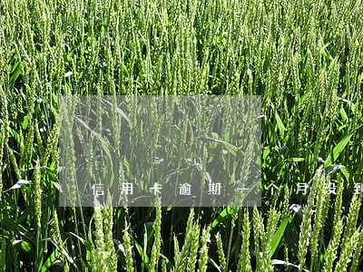 信用卡逾期一个月没到转外包 信用卡逾期一个月没到转外包