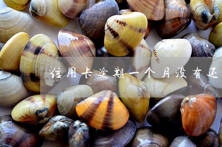 信用卡逾期一个月没有还能用吗
