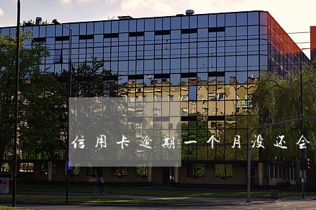 信用卡逾期一个月没还会怎么办