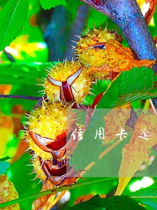 信用卡逾期一个月爆通讯录吗 信用卡逾期一个月爆通讯录吗