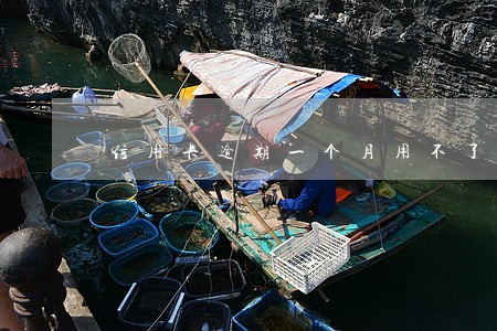 信用卡逾期一个月用不了了 信用卡逾期一个月用不了了