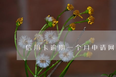 信用卡逾期一个月申请网贷 信用卡逾期一个月申请网贷