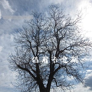 信用卡逾期一个月电话 信用卡逾期一个月电话