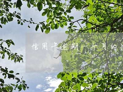 信用卡逾期一个月的征信 信用卡逾期一个月的征信